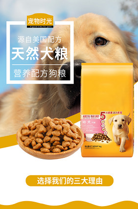 宠物食品选择指南 为爱宠提供均衡营养与美味享受