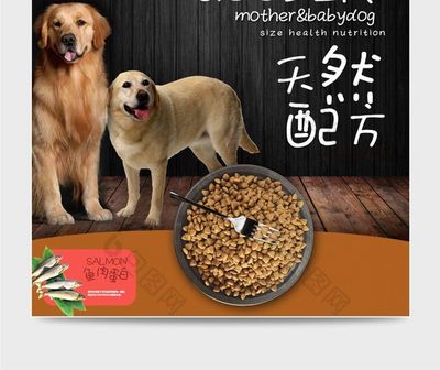淘宝宠物食品主图与直通车图设计指南 提升点击与转化率